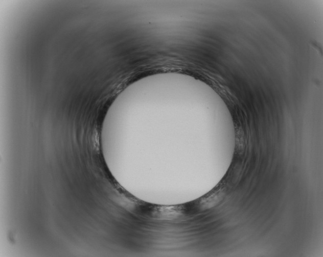 X0000098210622200804241103