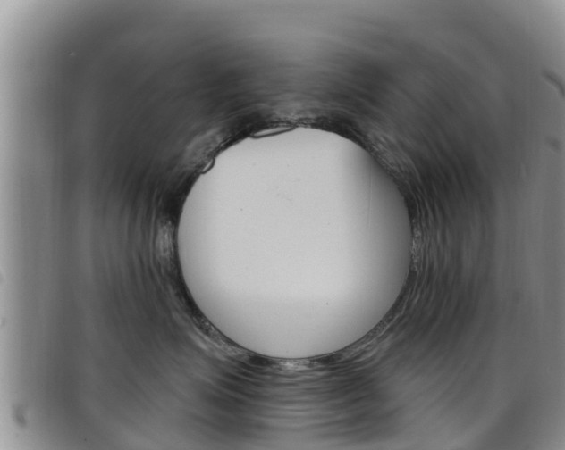 X0000098210623200804241103