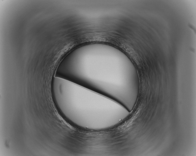X0000098210625200804241102