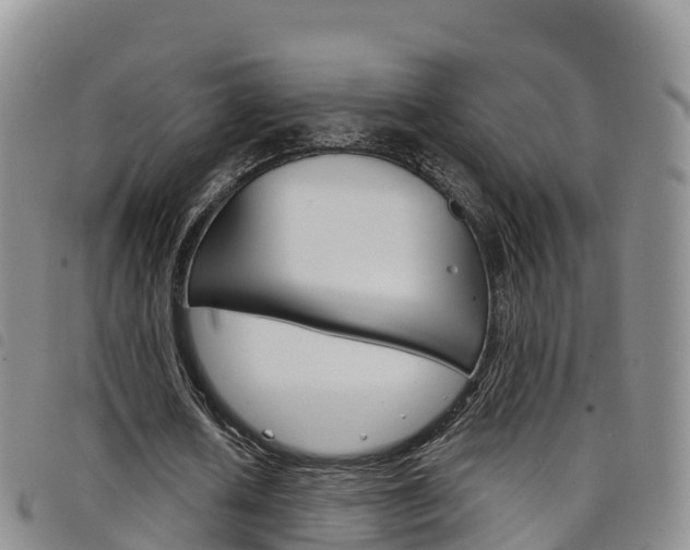 X0000098210626200804241102