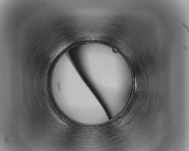 X0000098210627200804241102