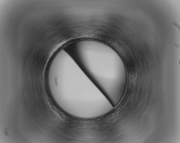 X0000098210628200804241102