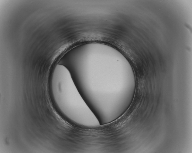 X0000098210629200804241102