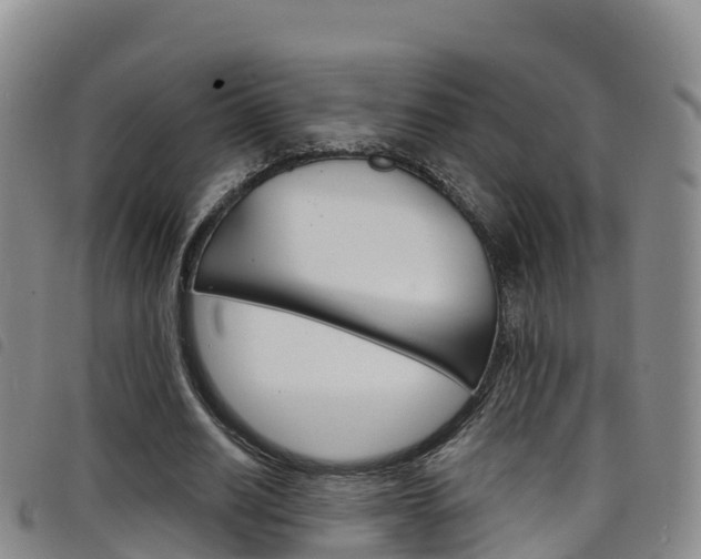 X0000098210630200804241102