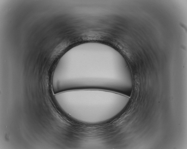 X0000098210631200804241102