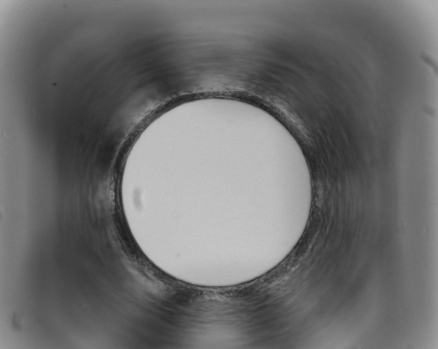 X0000098210632200804241103