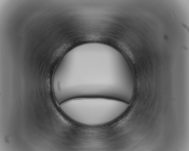 X0000098210633200804241103