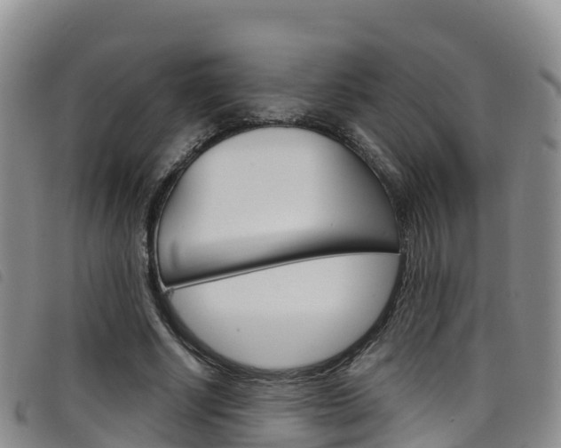X0000098210634200804241103