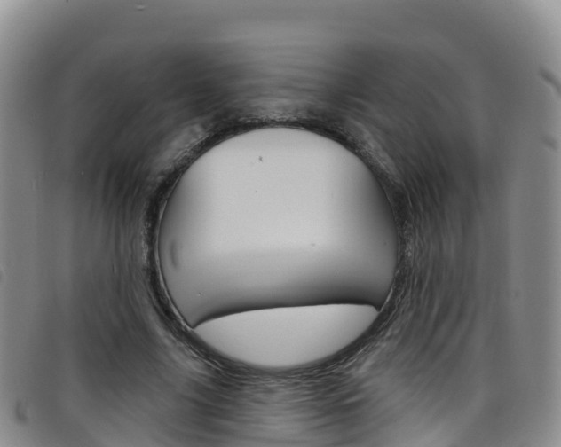 X0000098210635200804241103