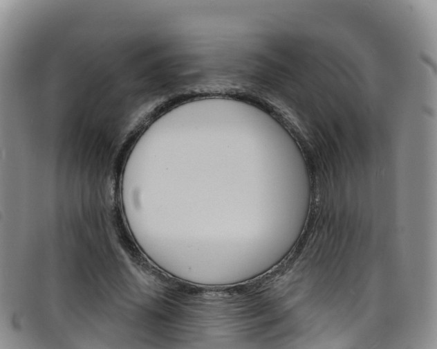 X0000098210636200804241103
