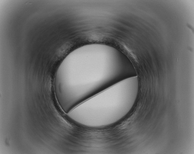 X0000098210637200804241103