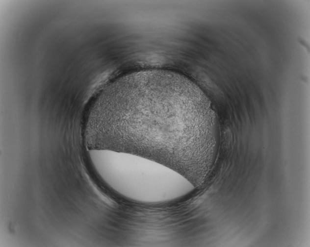 X0000098210638200804241103