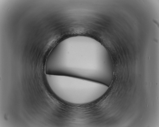 X0000098210640200804241103