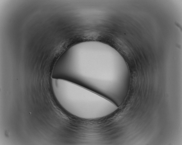 X0000098210641200804241103