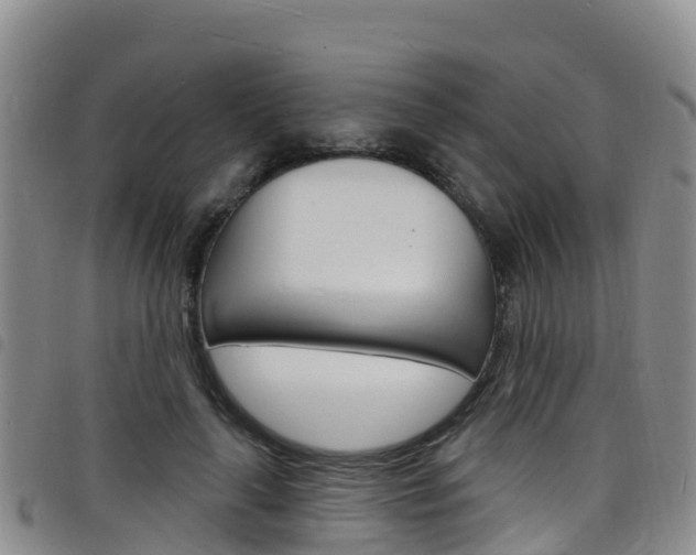 X0000098210643200804241103
