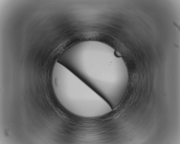 X0000098210644200804241103
