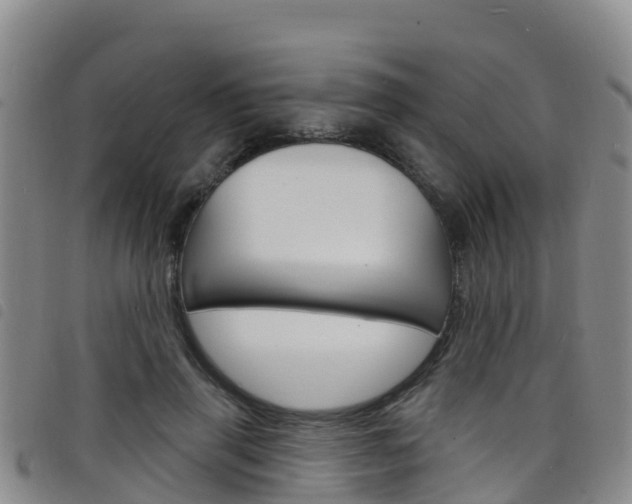 X0000098210645200804241103