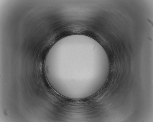 X0000098210646200804241103
