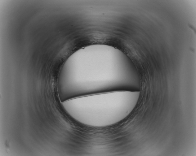 X0000098210647200804241103