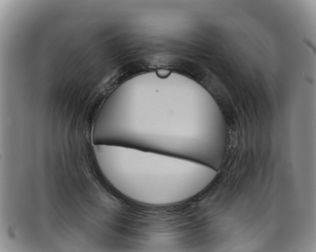 X0000098210648200804241103