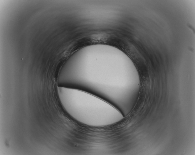 X0000098210649200804241103