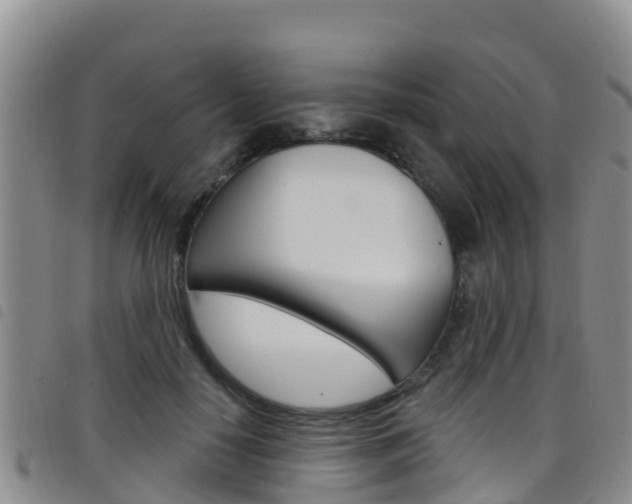 X0000098210650200804241103