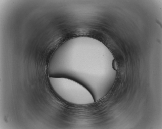 X0000098210652200804241103