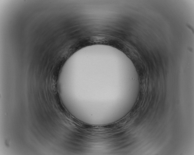 X0000098210653200804241103
