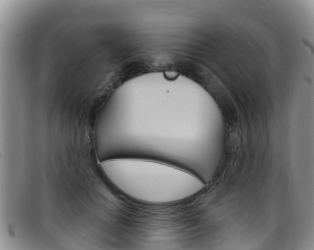 X0000098210654200804241103