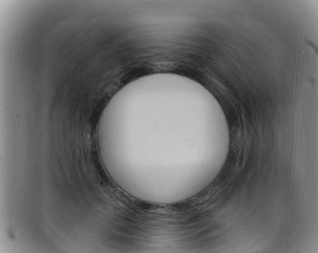 X0000098210655200804241103