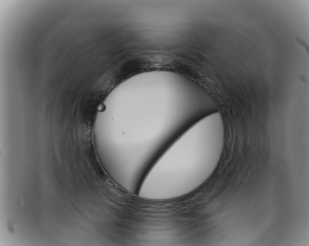 X0000098210657200804241103