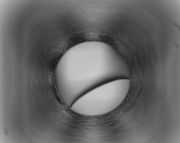 X0000098210658200804241103