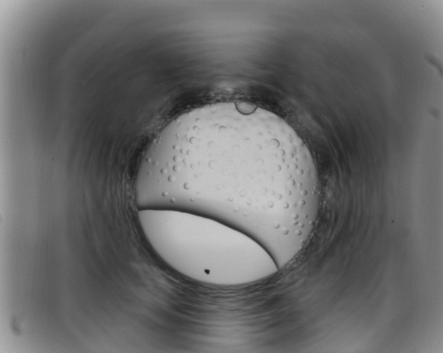 X0000098210659200804241103
