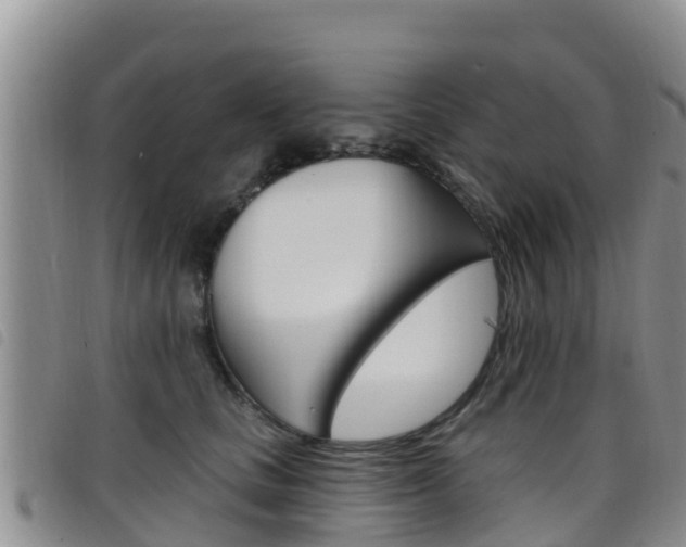 X0000098210661200804241103