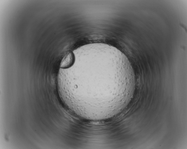 X0000098210662200804241103