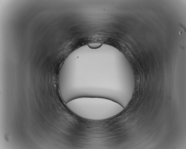 X0000098210663200804241103
