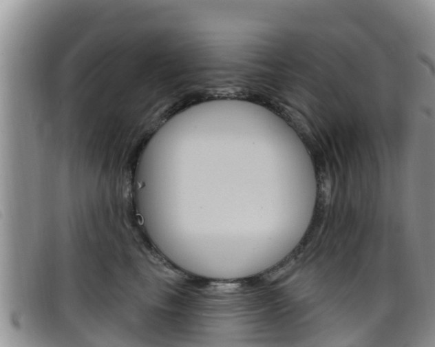 X0000098210665200804241103
