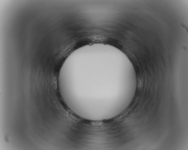 X0000098210666200804241103