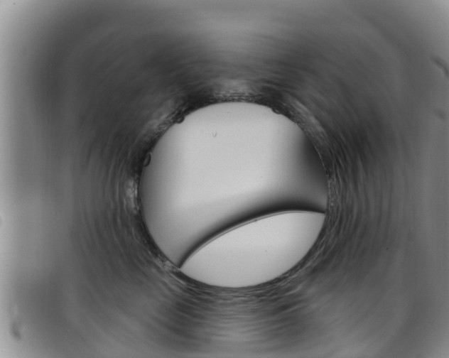 X0000098210669200804241103