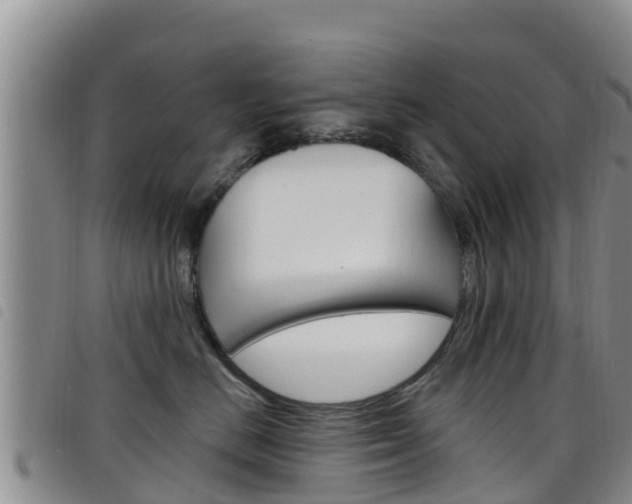 X0000098210670200804241103