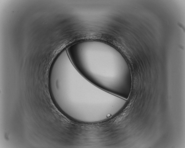 X0000098210673200804241102