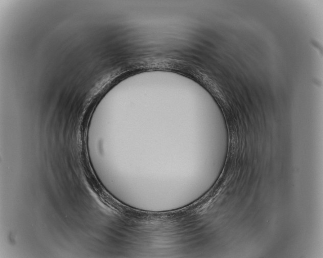 X0000098210674200804241102
