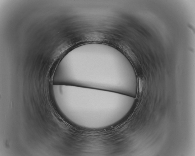 X0000098210675200804241102
