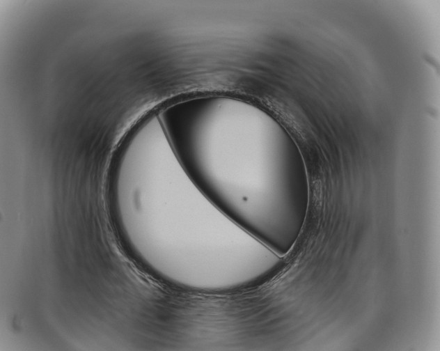 X0000098210676200804241102