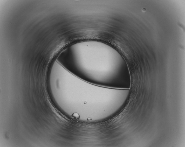 X0000098210677200804241102