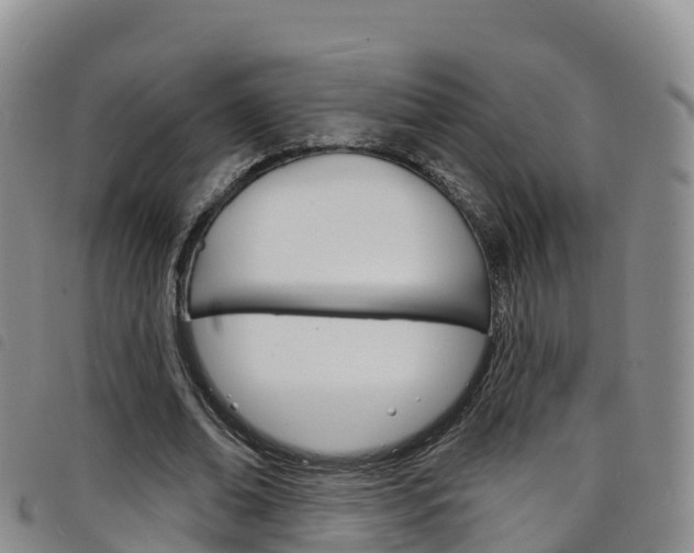 X0000098210678200804241102