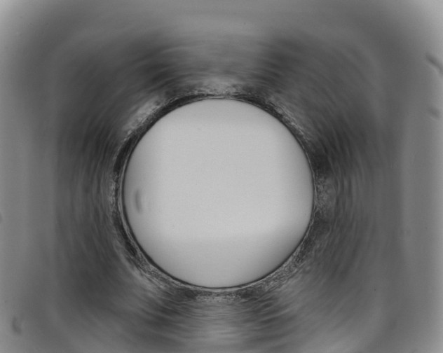 X0000098210679200804241102