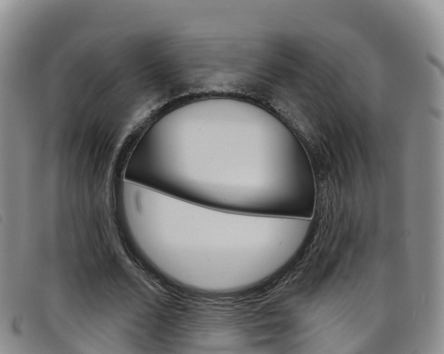 X0000098210680200804241102
