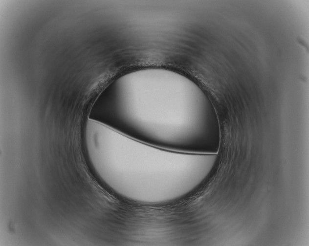 X0000098210681200804241102
