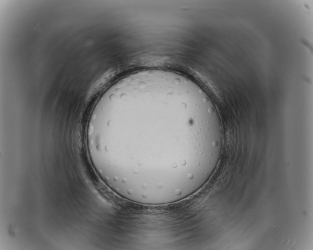 X0000098210682200804241102